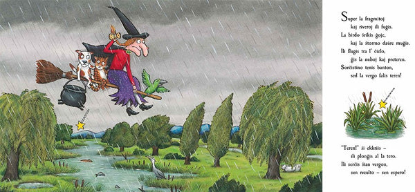 Room on the Broom - Julia Donaldson