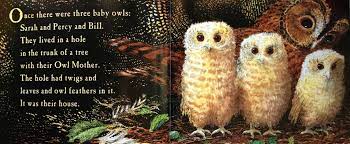 Owl Babies - Board Book