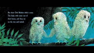 Owl Babies - Board Book