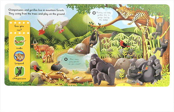 First Explorers: Wild Animals